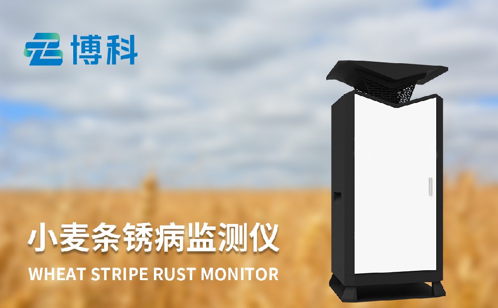 小麥條銹病監測儀